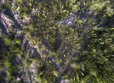 alan, yukarıdan görünüm