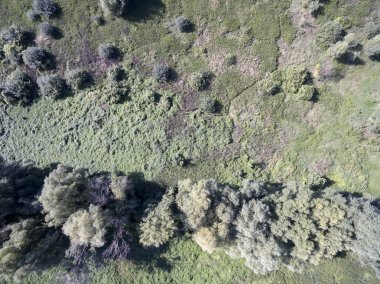 alan, yukarıdan görünüm