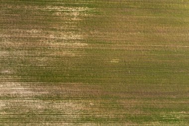 alan, yukarıdan görünüm