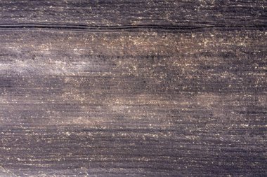 alan, yukarıdan görünüm