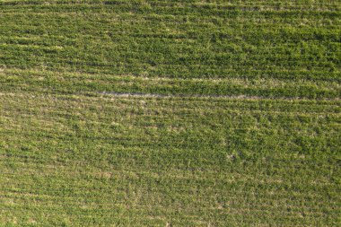 alan, yukarıdan görünüm