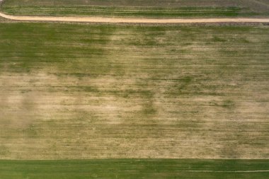 alan, yukarıdan görünüm