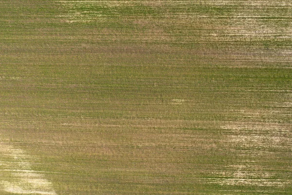 Feld Blick Von Oben — Stockfoto