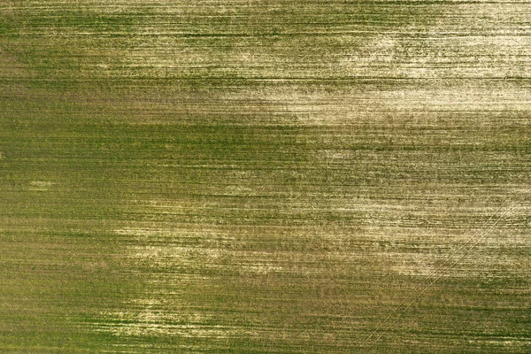 Feld Blick Von Oben — Stockfoto