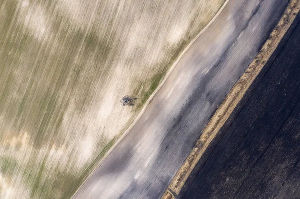 Veld Weergave Van Boven — Stockfoto