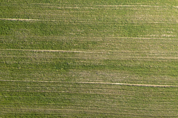 Feld Blick Von Oben — Stockfoto