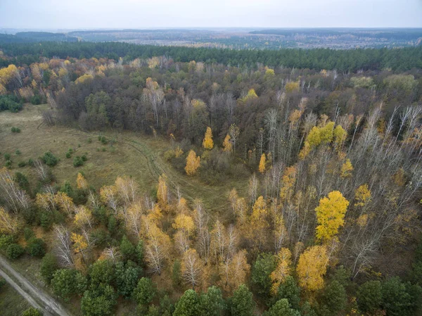 Route Campagne Vue Haut — Photo