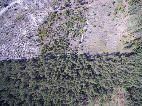 Strada Campagna Vista Dall Alto — Foto Stock