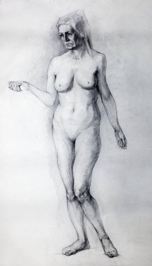 Kalem çizimi, çizim, arka plan