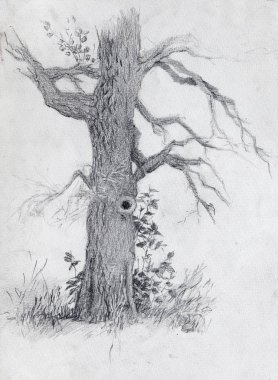 Kalem çizimi, çizim, arka plan