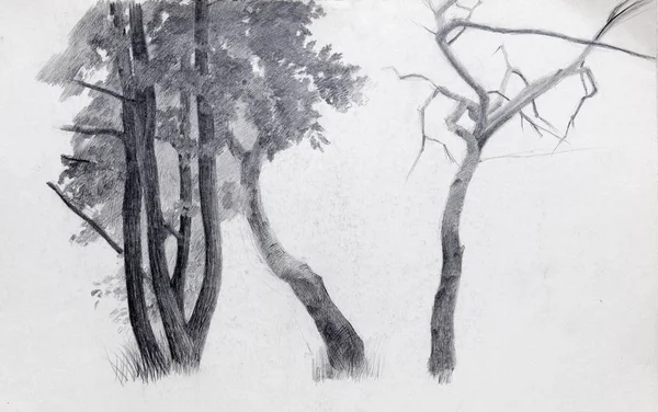 Pencil Drawing Sketch Background — Stock Photo, Image