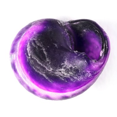 renkli deniz kabukları arka plan yakın çekim