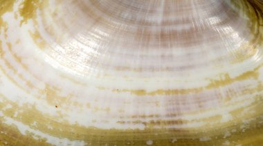 Soyutlama, boya, seçici odak