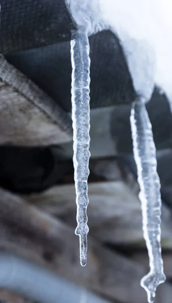 Icicle Frozen Water Selective Focus — Stock Photo, Image