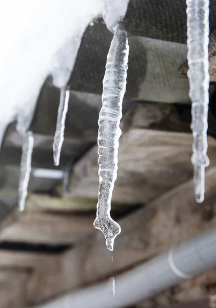 Icicle Frozen Water Selective Focus — Stock Photo, Image