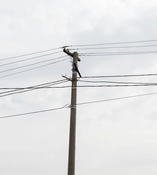 Elektrik Hattı Elektrik Direği Elektrik — Stok fotoğraf