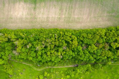 yeşil orman hava manzarası 