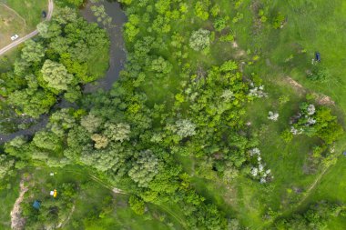 yeşil orman hava manzarası 