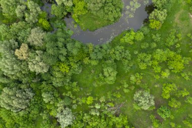 Manzaraya yukarıdan bak 