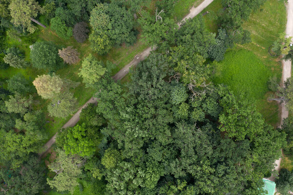Landscape green aerial view