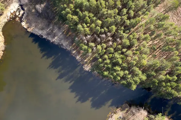 Forêt Verte Vue Aérienne — Photo