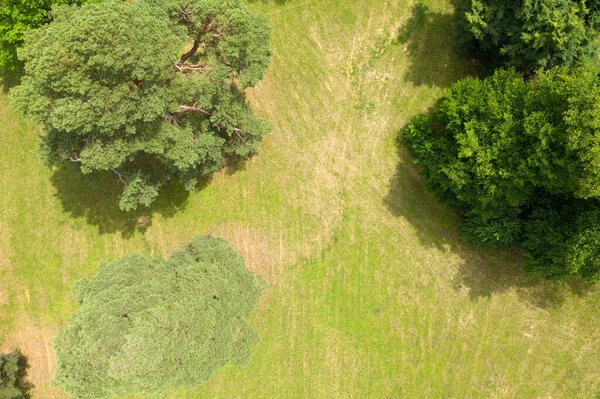 Landscape green aerial view