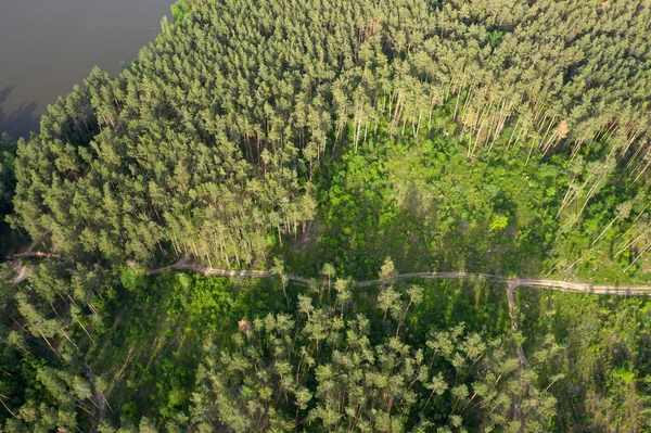 Forêt Verte Vue Aérienne — Photo