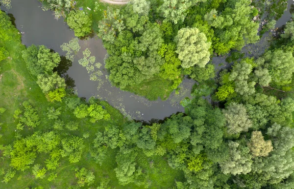 从上面看风景 — 图库照片