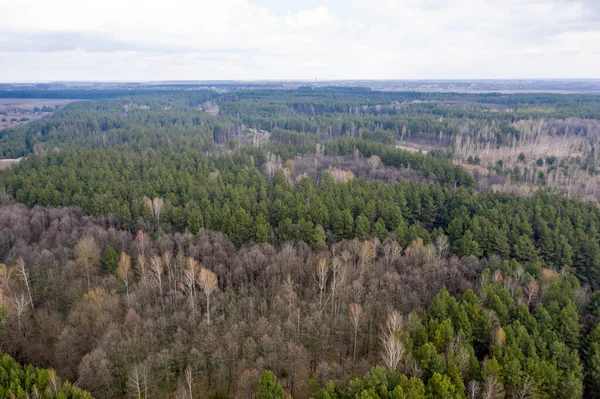 Forêt Verte Vue Aérienne — Photo