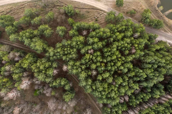 Verde Floresta Vista Aérea — Fotografia de Stock