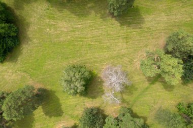 Peyzaj yeşili hava görüntüsü 