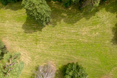 Peyzaj yeşili hava görüntüsü 