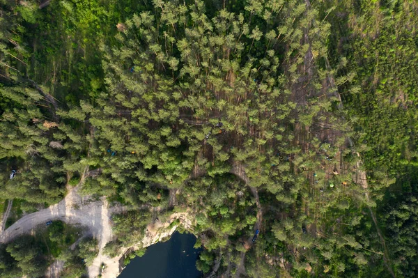 Verde Floresta Vista Aérea — Fotografia de Stock