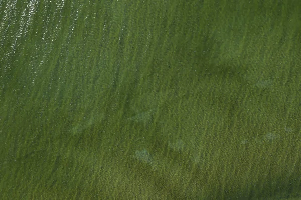 Zee Strand Uitzicht Van Bovenaf — Stockfoto