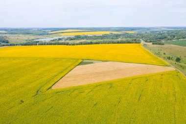 Yeşil alanda en üst görünüm 