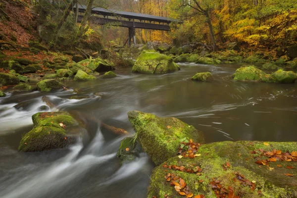 德国伊雷尔附近的秋林中一座覆盖在河上的木桥 — 图库照片
