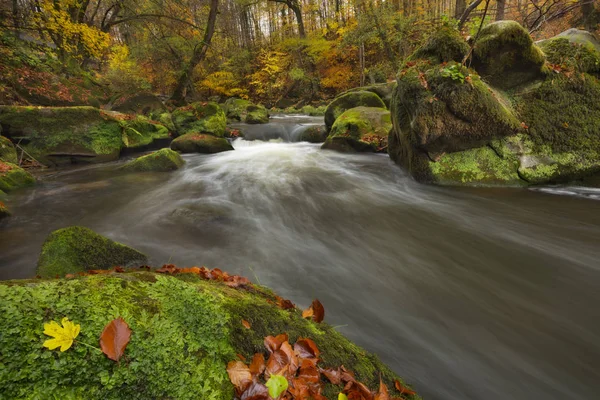 Río Través Bosque Otoño Cerca Irrel Alemania — Foto de Stock