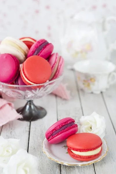 Collection Pink Macarons — Stock Photo, Image