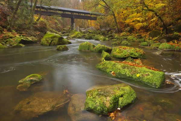 Puente Madera Cubierto Sobre Río Bosque Otoño Cerca Irrel Alemania — Foto de Stock