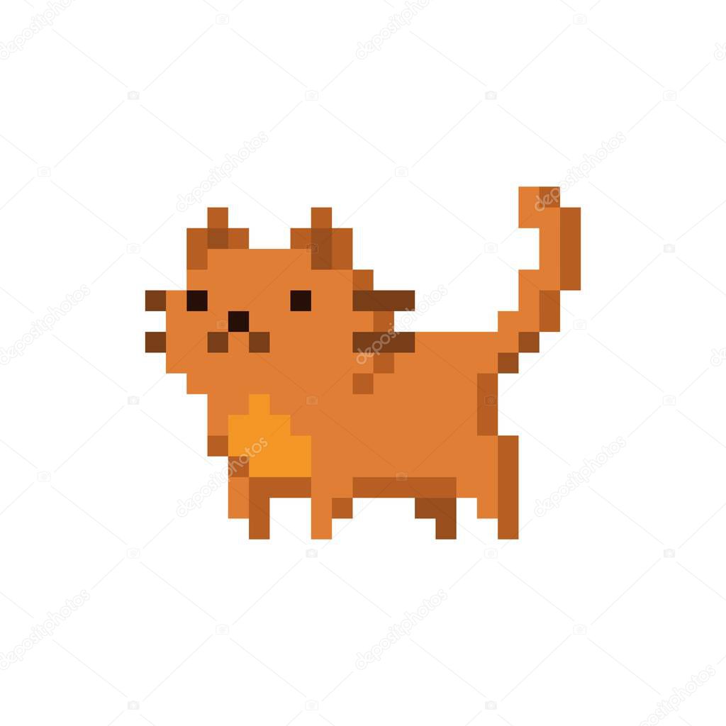 Cute kitten domestic pet pixel art - isolated vector illustration