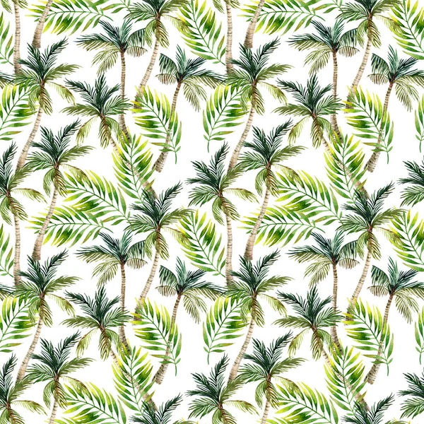 Suluboya palmiye ağacı ve iz bırakır. Tropik avuç arkası. El yapımı illüstrasyon, doğa sanatı