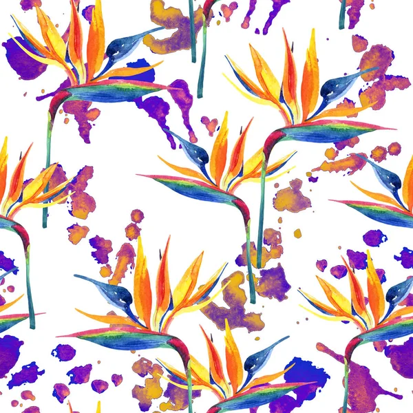 Akvarell Festmény Trópusi Virágok Színes Staines Varrat Nélküli Mintázat Akvarell — Stock Fotó