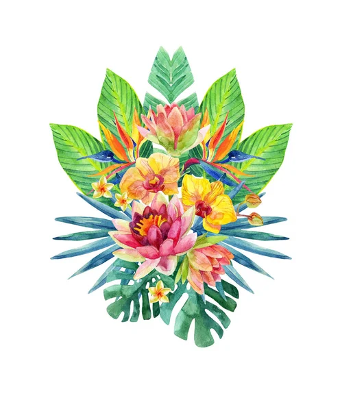 Akvarellmålning Tropiska Blommor Lämnar Isolerade Vit Bakgrund Akvarell Orkidé Vatten — Stockfoto