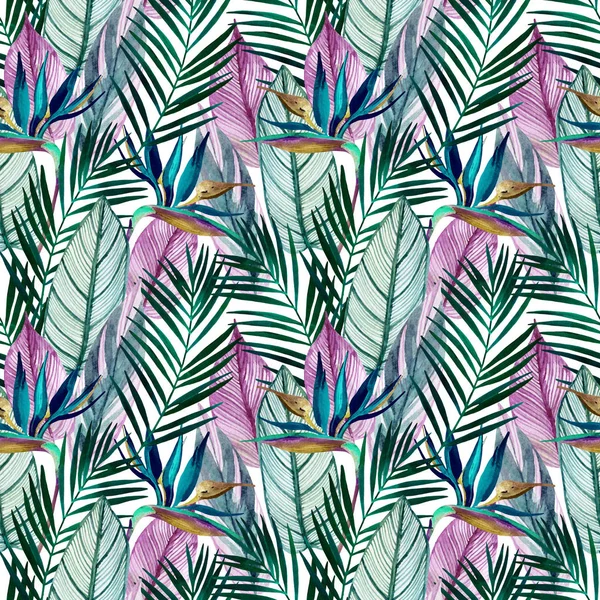 Akvarell Trópusi Zökkenőmentes Minta Paradicsommadár Virág Pálmalevél Egzotikus Virágok Levelek — Stock Fotó