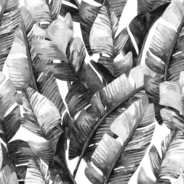 Exotic leaves background. Hand painted natural illustration