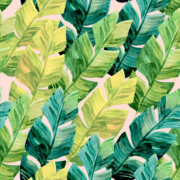 Inusual patrón de hojas de plátano sin costura —  Fotos de Stock