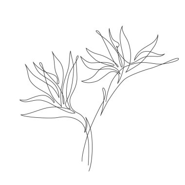 Antik Yunan tanrıça heykeli, geometrik şekilli, tropikal çiçekli modern çizgi sanatı: muz yaprağı, strelitzia çiçeği. Moda tişörtü tasarımı, baskı, posterler, davetiyeler, kartlar, broşürler için el çizimi illüstrasyonlar. Vektör