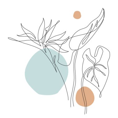 Zarif sürekli çizgi çizimi. Minimum sanat çiçeği ve yapraklar beyaz arka planda izole edilmiş. Güzel tropikal çiçek çizimleri. Moda tasarımı için vektör çizimi