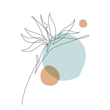 Bir çizgi soyut tropikal çiçek. Strelitzia çizimi. Geometrik şekillerdeki en küçük sanat çiçeği. Modern siyah beyaz illüstrasyon. Zarif sürekli çizgi çizimi