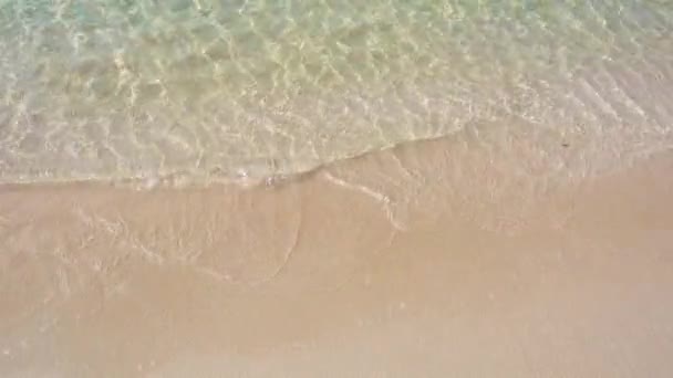 Beautiful Background Clean Beach Summer Royalty High Quality Free Stock — Stock Video